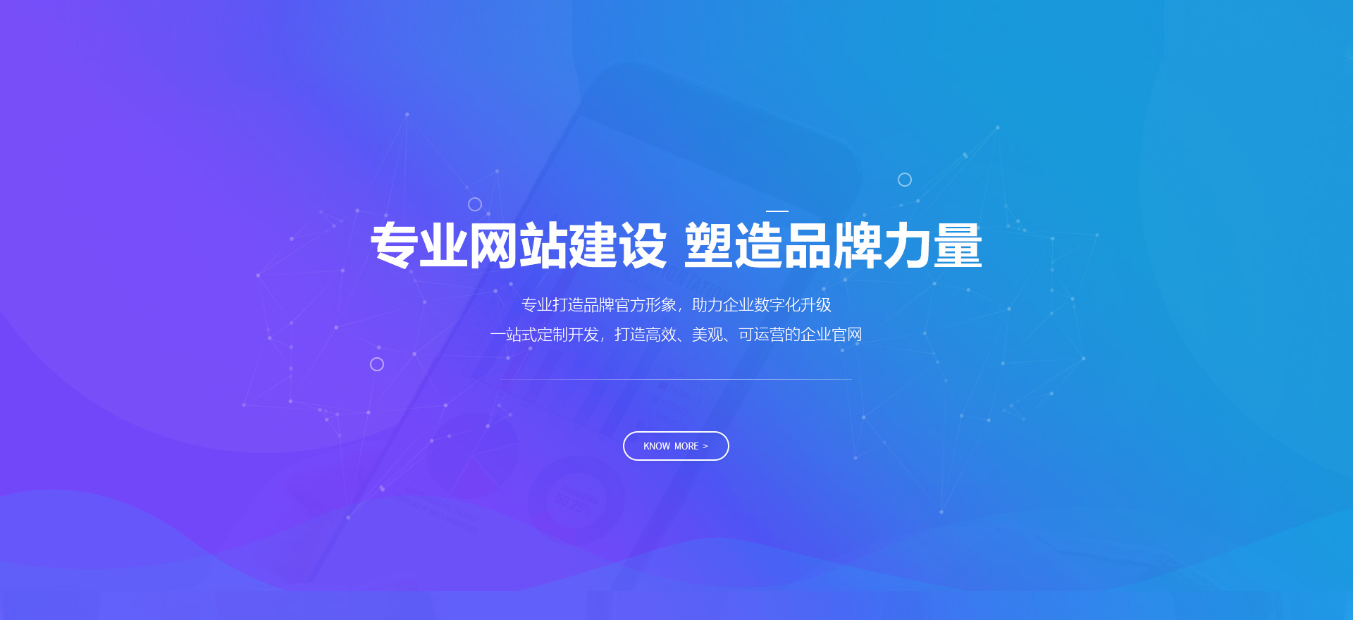 迪庆建站-专业网站建设 塑造品牌力量