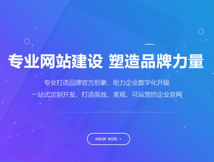 迪庆建站-专业网站建设 塑造品牌力量